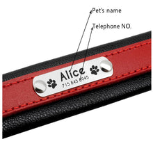 Load image into Gallery viewer, personalized dog collar with name