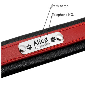 personalized dog collar with name