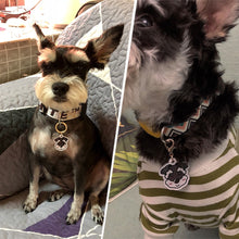 Load image into Gallery viewer, personalized dog collar with name