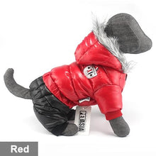 Load image into Gallery viewer, Pups! Winter Jacket - 8 colours available - Pups Closet