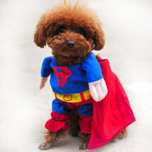 Load image into Gallery viewer, Pups! Superman Costume - Pups Closet