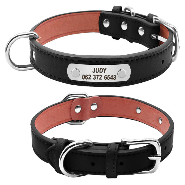 personalized dog collar with name