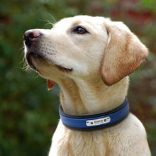 Load image into Gallery viewer, personalized dog collar with name