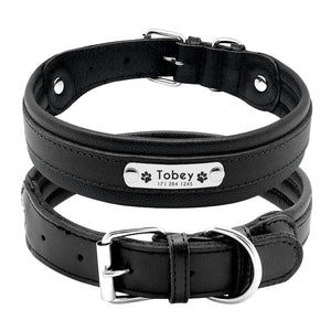 personalized dog collar with name