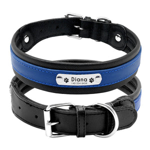 personalized dog collar with name