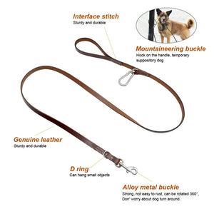 Pups! Leather Leash w/ Buckle