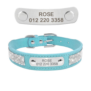 personalized dog collar with name