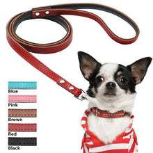 Load image into Gallery viewer, Pups! Leather Leash - 5 colours available