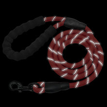 Load image into Gallery viewer, PupsCloset® Nylon Reflective Leash - 6 colours available