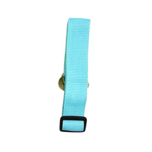 Load image into Gallery viewer, Pups! Seatbelt Lead - 8 colours available - Pups Closet