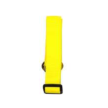 Load image into Gallery viewer, Pups! Seatbelt Lead - 8 colours available - Pups Closet