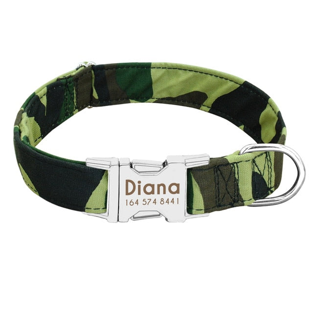 personalized dog collar with name