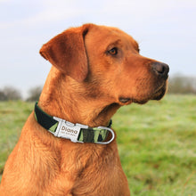 Load image into Gallery viewer, personalized dog collar with name